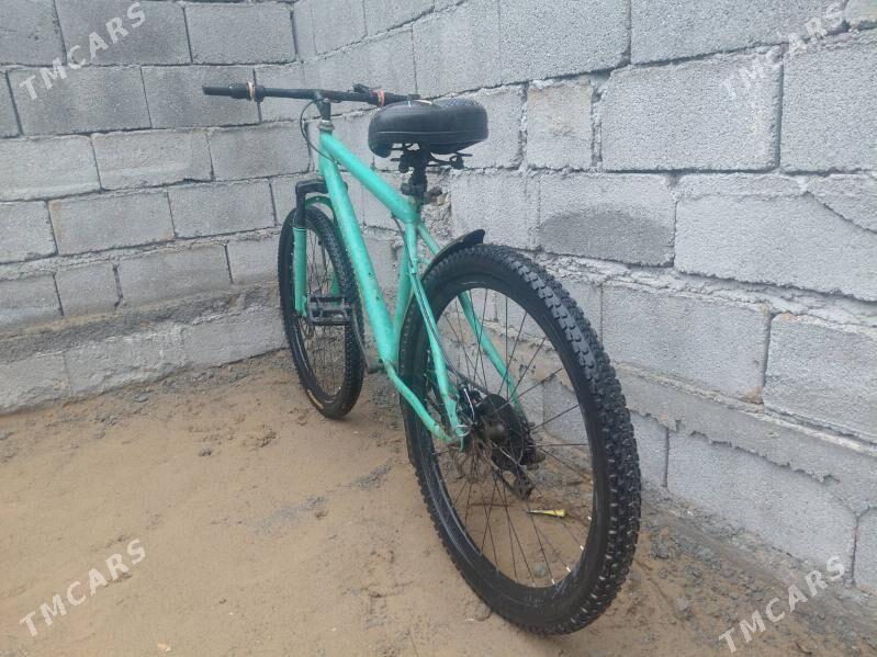 Tigir - Ак-Бугдайский этрап - img 1