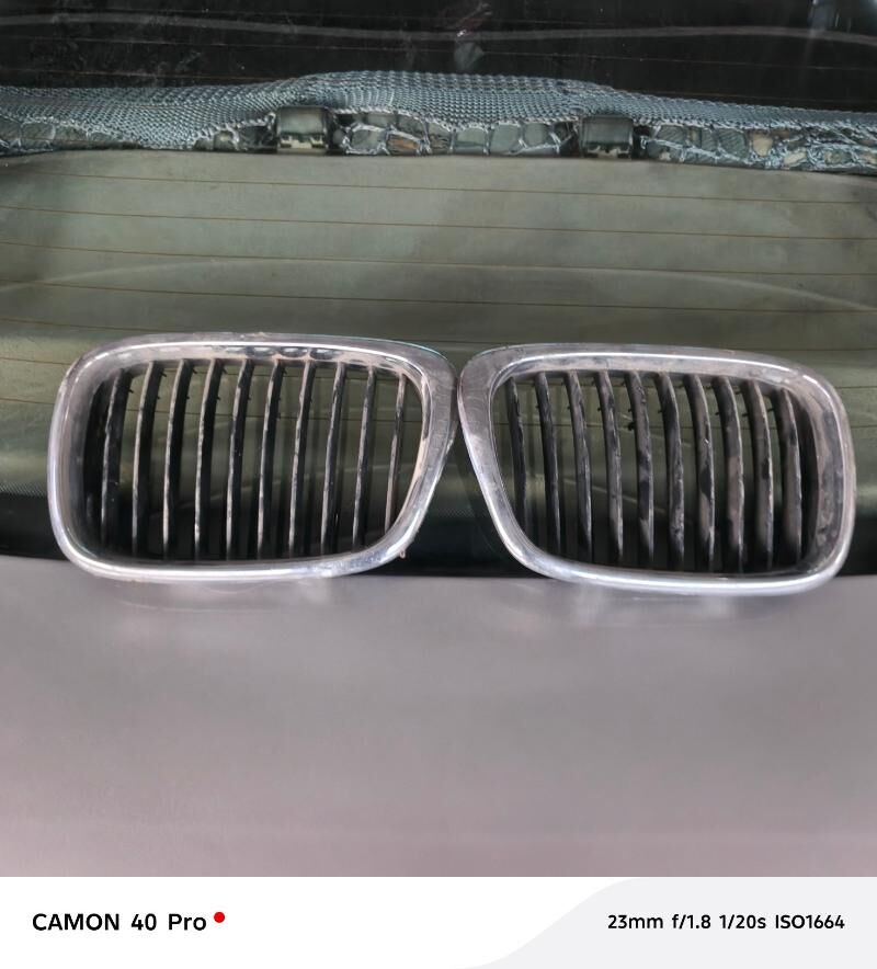 эчки карейка 250 TMT - Sakarçäge - img 1