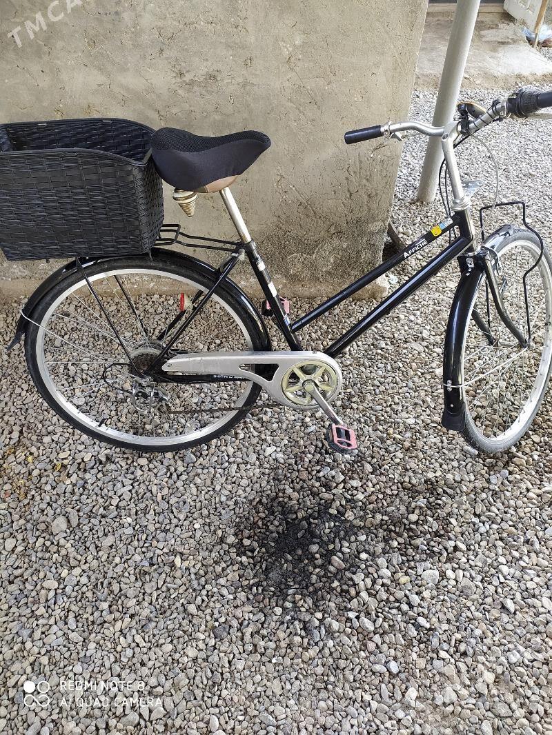 welsapet - Мары - img 1