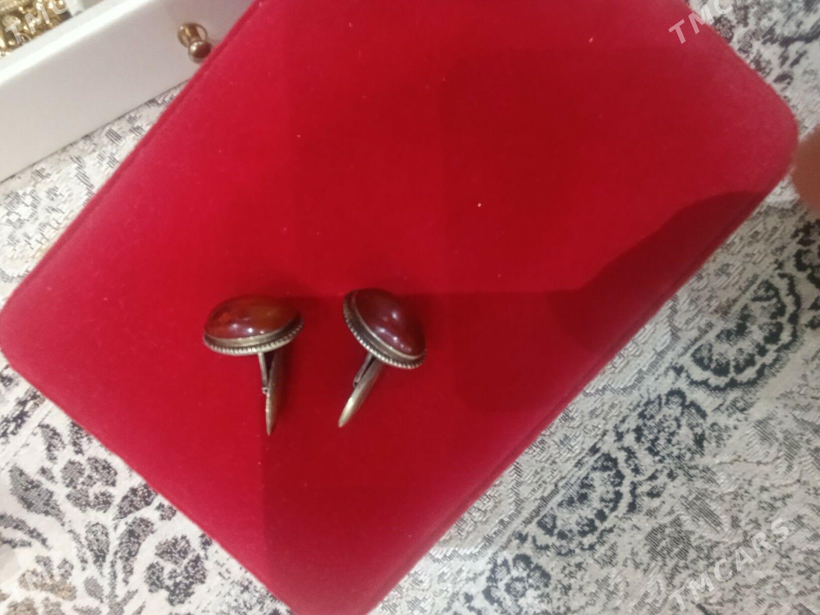 kumuş gadymy cccp - Arkadag - img 1