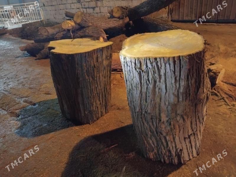 Agaç çapgy tut - Aşgabat - img 1