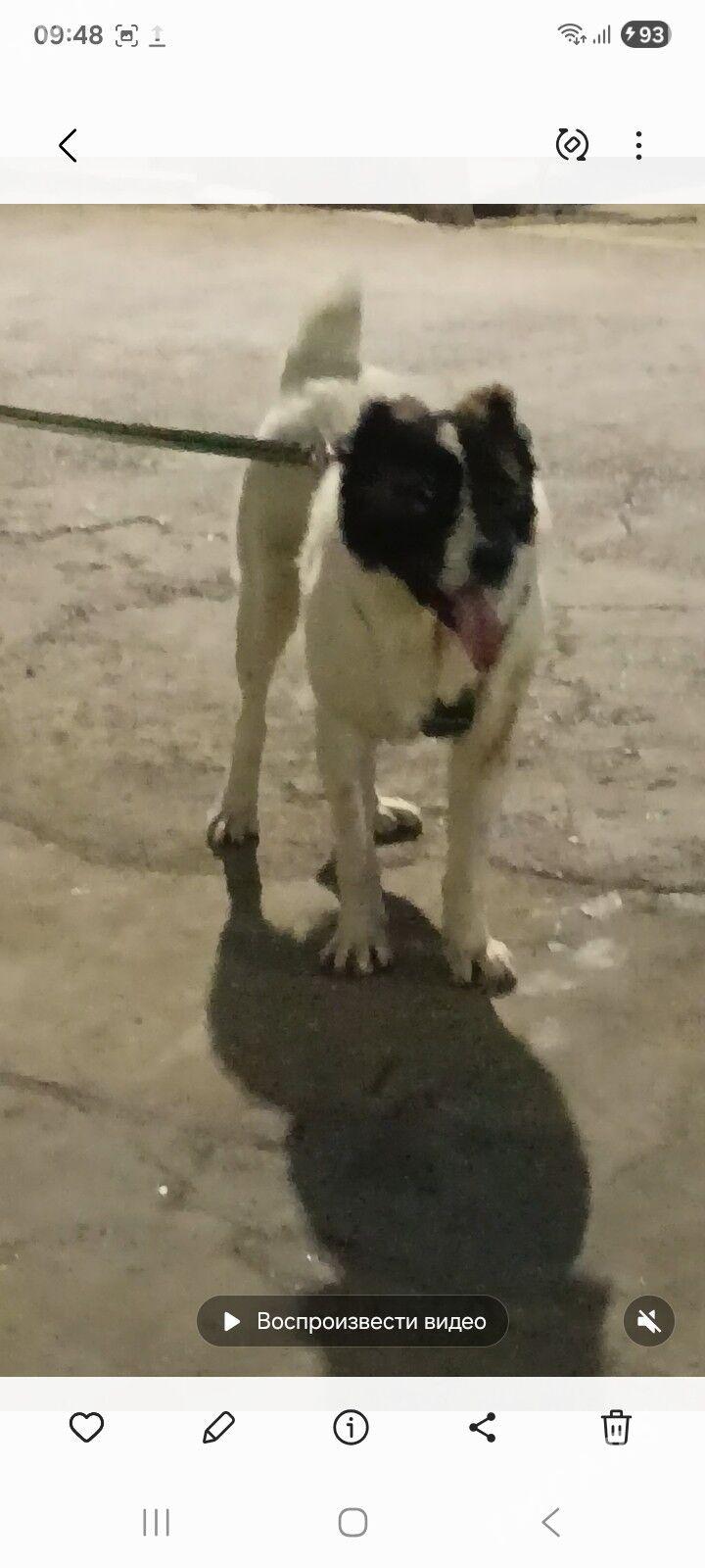 Maska - Hitrowka - img 1