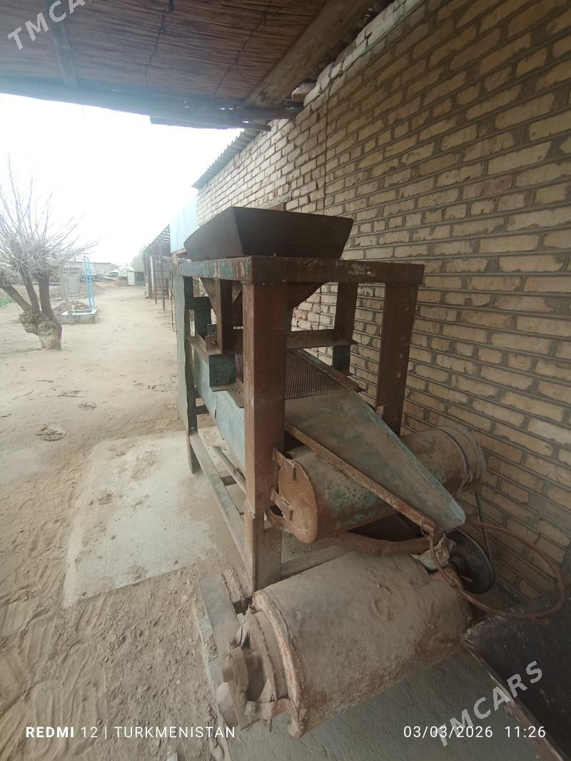 dane arassalayjy - Сакарчага - img 1