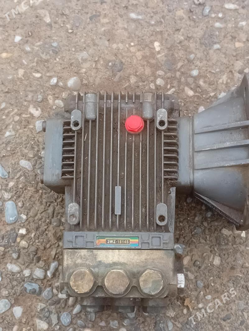 kici moÿka - Теджен - img 1