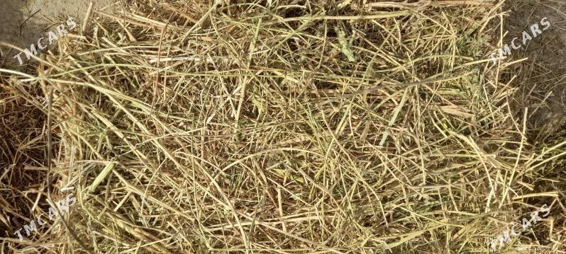 yorunja gamyş saman şugundur - Bäherden - img 1