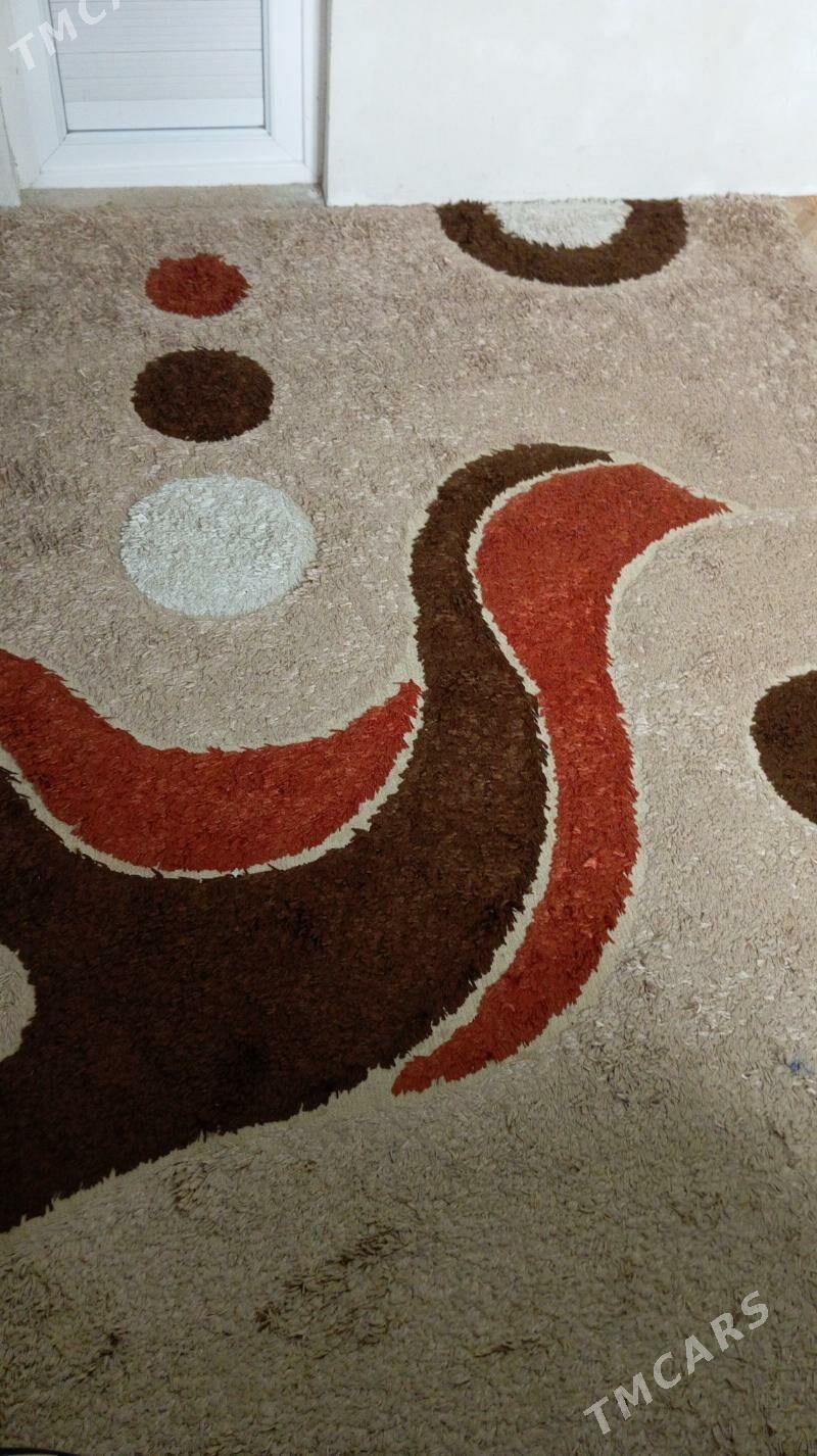 Haly - Jebel - img 1