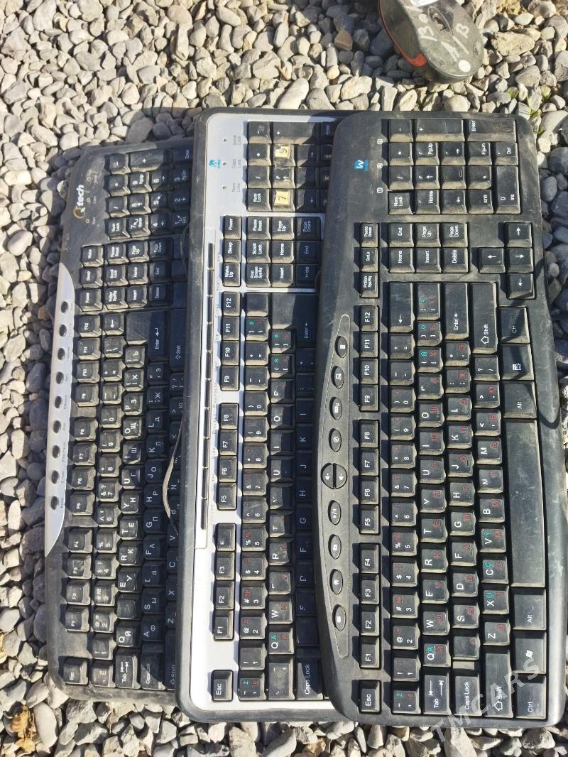 zapças - Çoganly - img 1