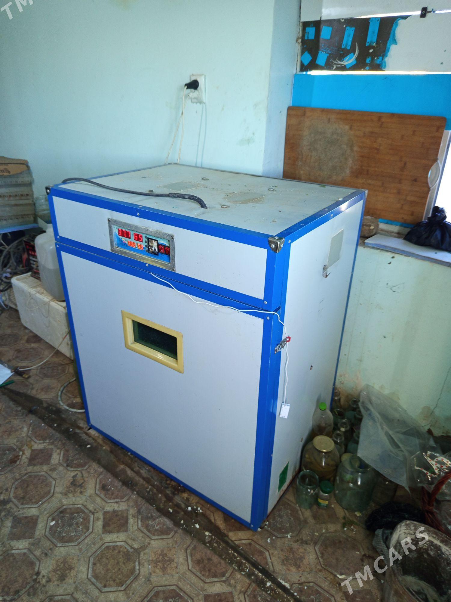 inkobator - Мары - img 1