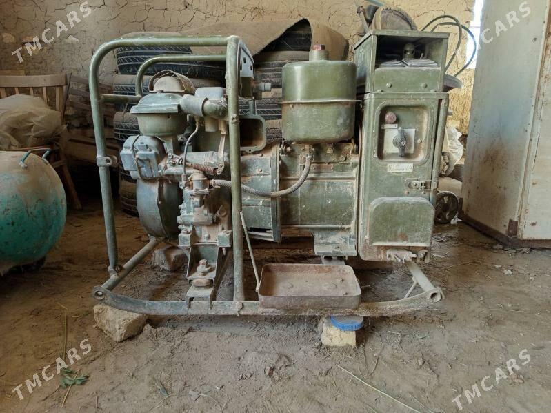 diwižok - Sakarçäge - img 1