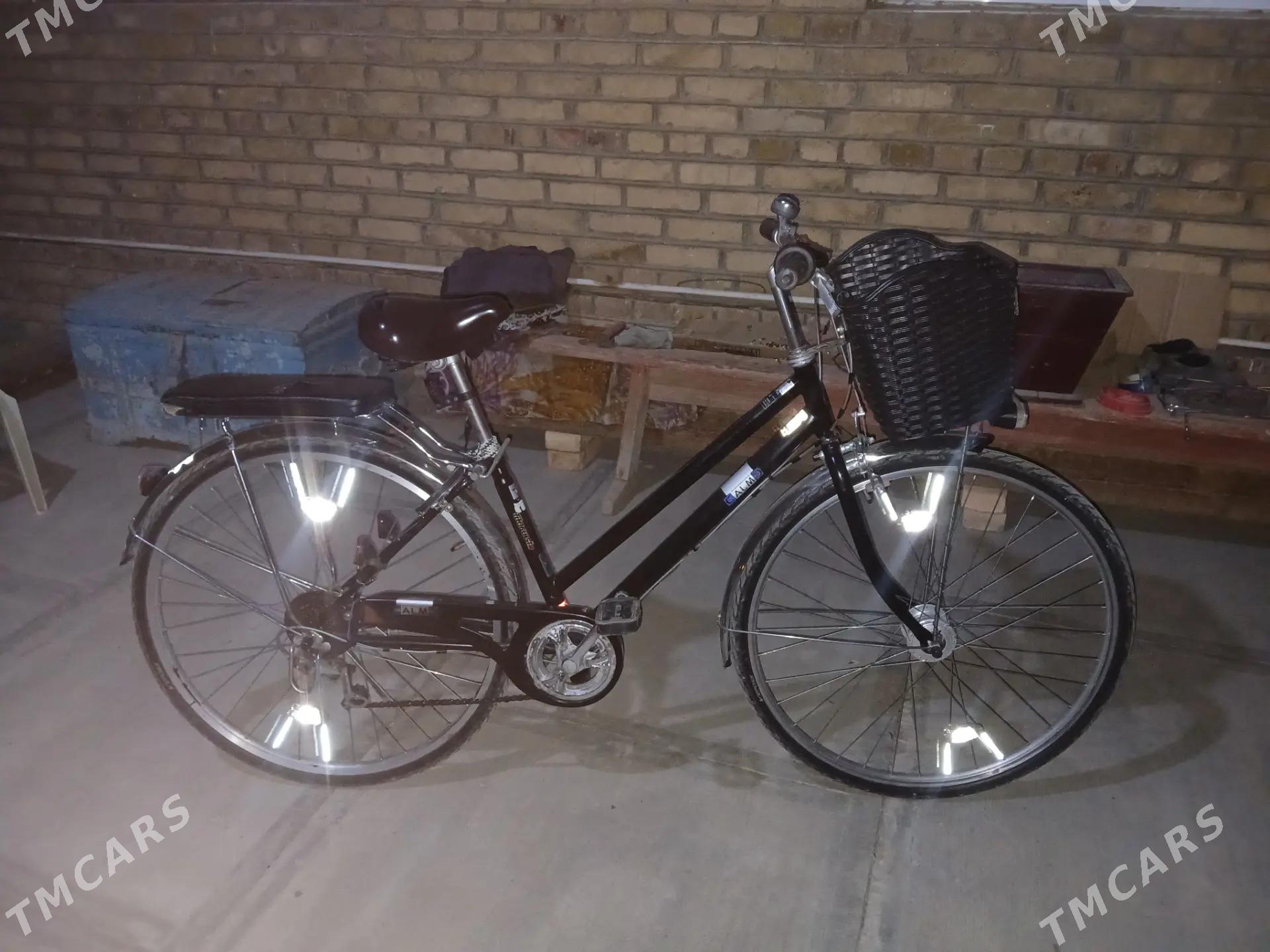 27 tayyn welik - Mary - img 1