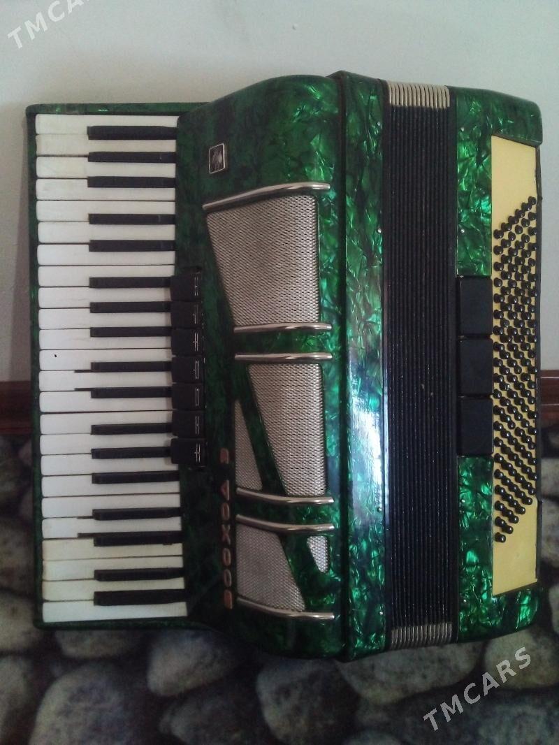 Akkordeon. - Sakarçäge - img 1