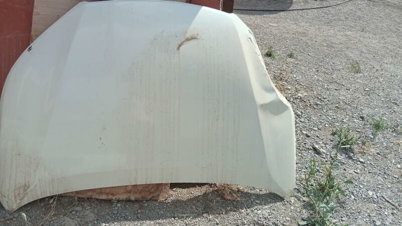 haylandir kapot 400 TMT - Багир - img 1