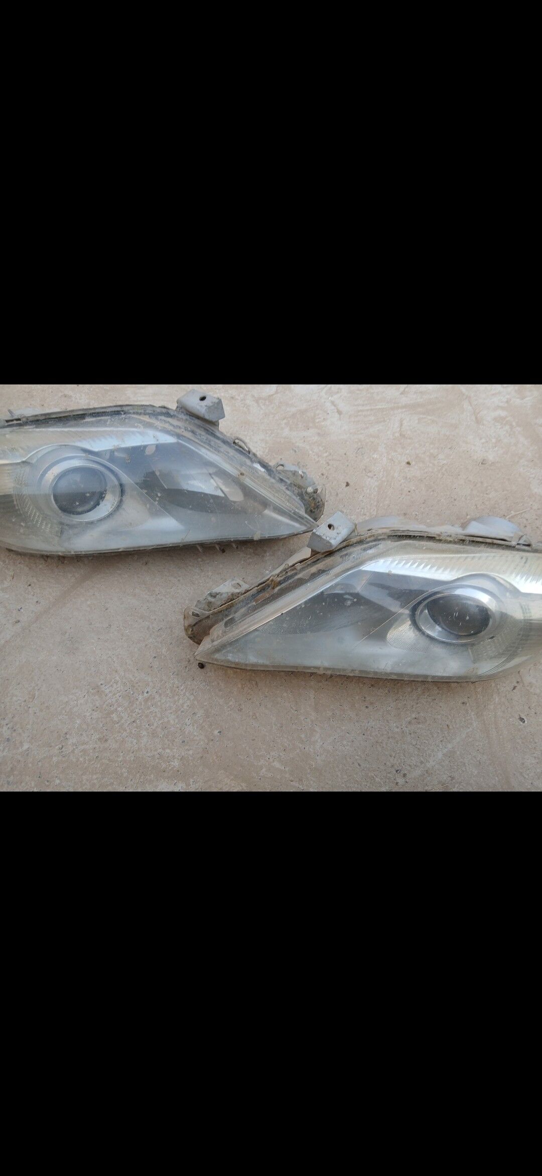 Okuz kelle fara 200 TMT - Гуртли - img 1