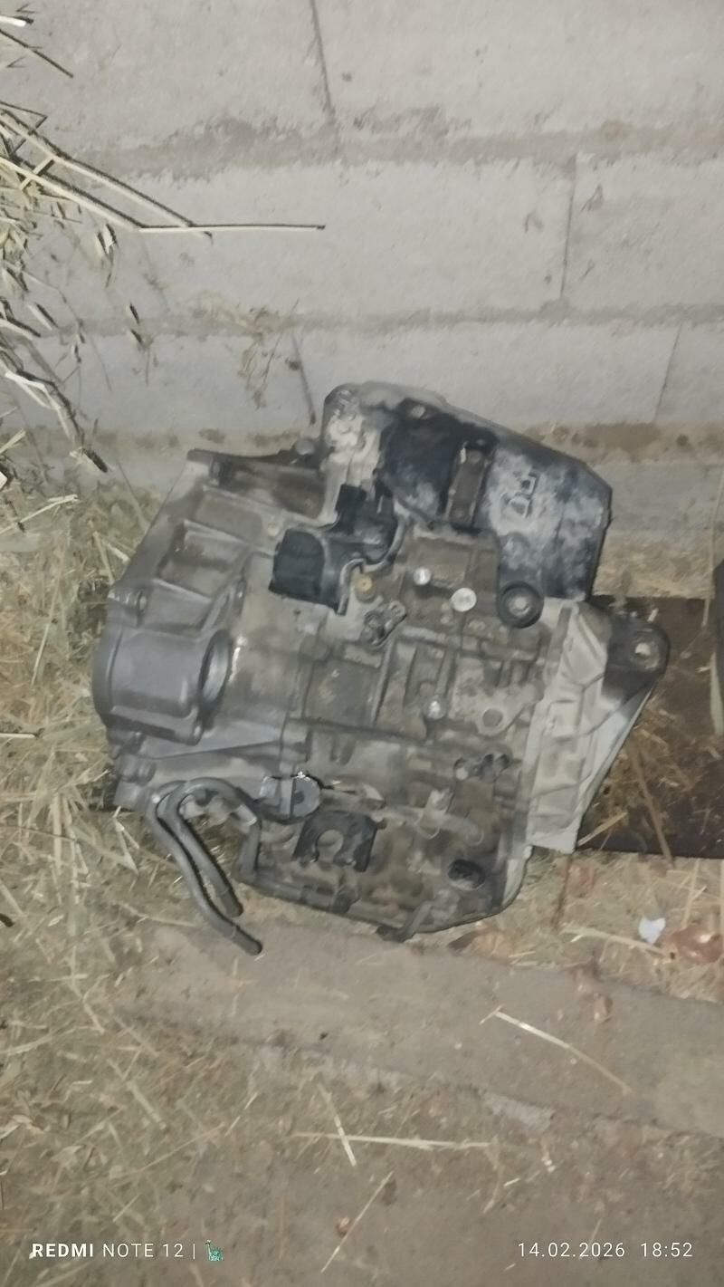 karopka öküz kelle 2 000 TMT - Бахарден - img 1