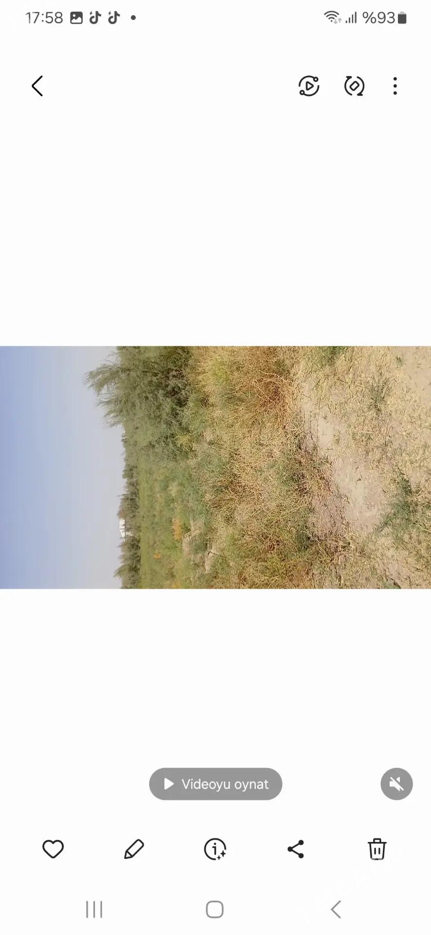 Mellek ýer - Яшлык - img 1