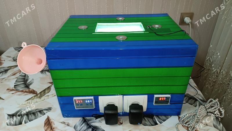 inkubator Инкубатор - Mary - img 1