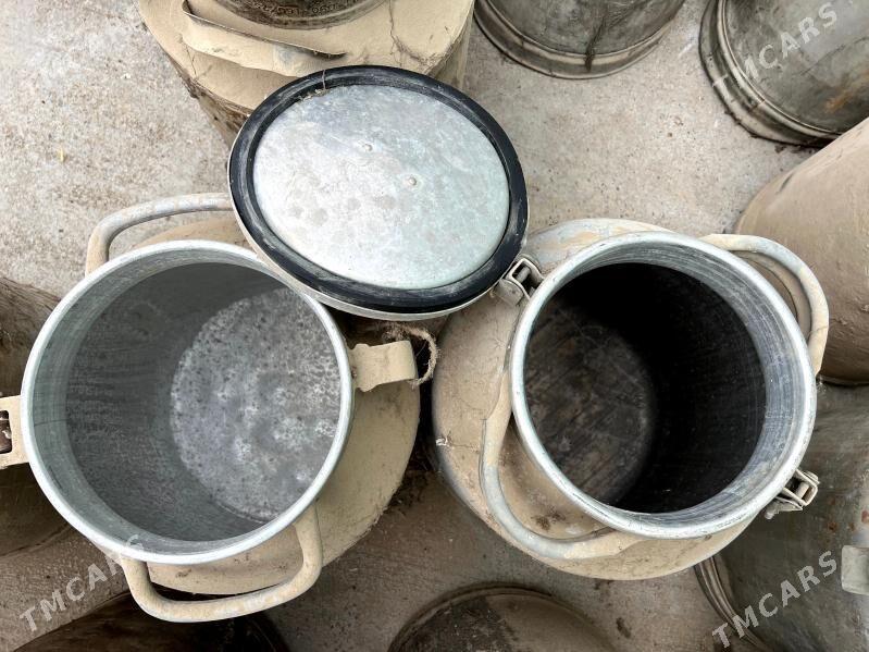 flyaga - Büzmeýin - img 1