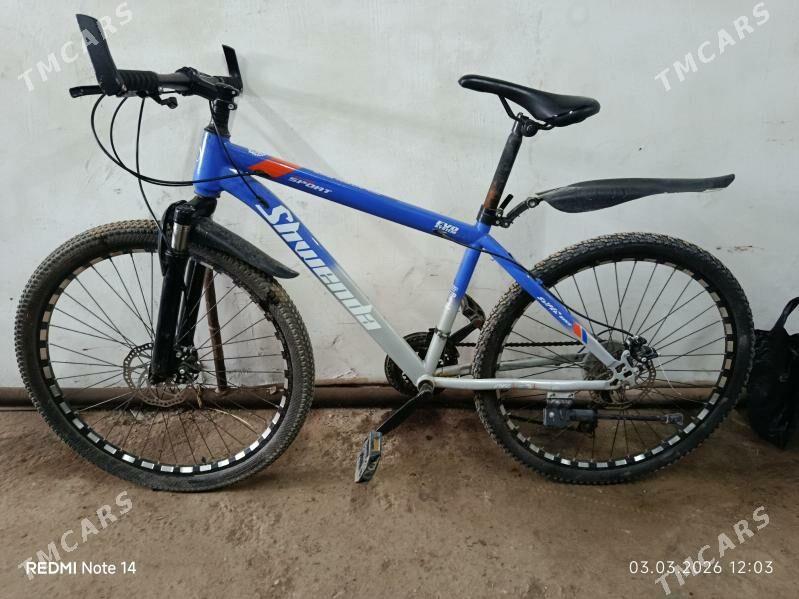 Velik - Gurbansoltan Eje - img 1