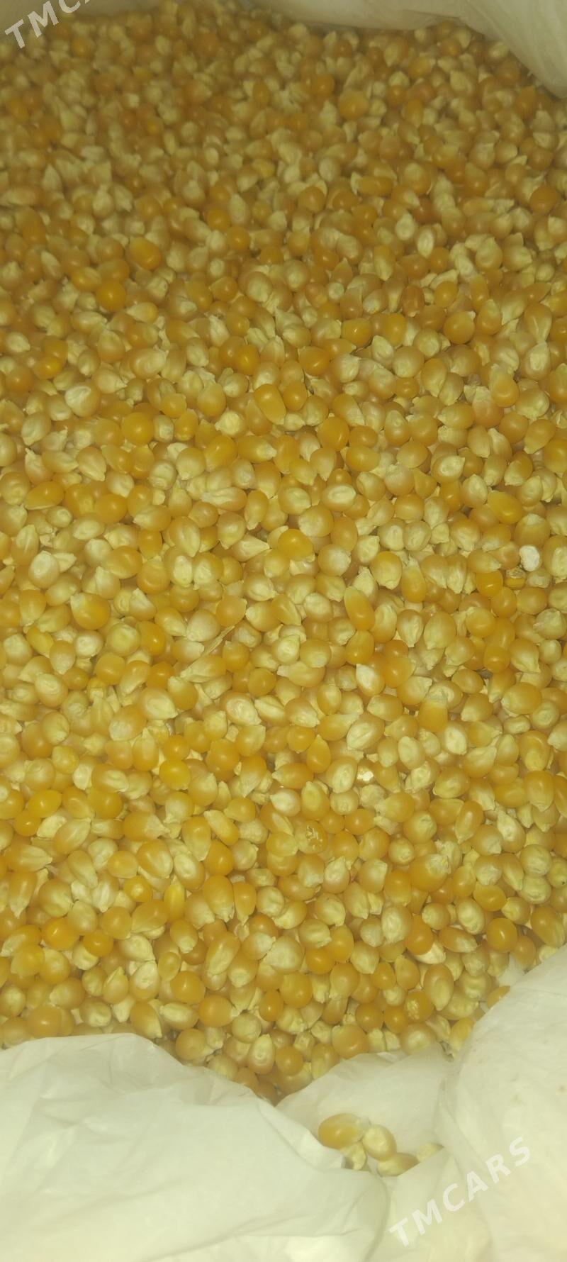 turk mekge - Oguz han - img 1