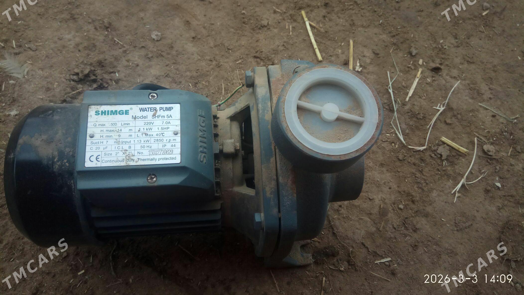 Orginal SHIMGE taze - Фарап - img 1