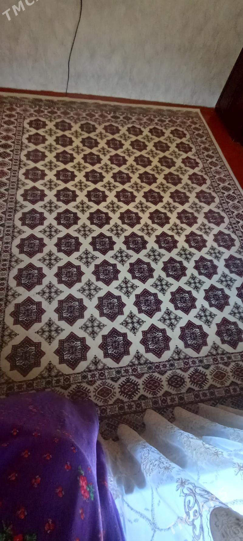 haly - Балканабат - img 1