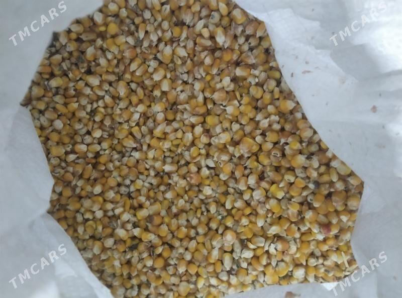 Mekge - Бузмеин - img 1