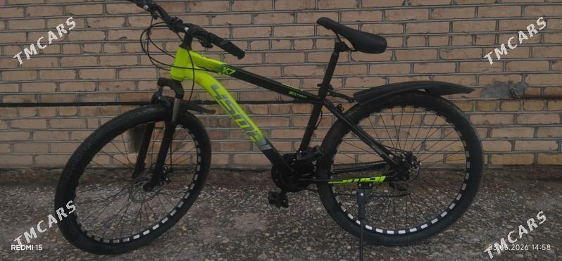 TİGİR - Murgap - img 1