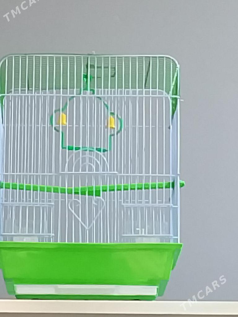 попугайлар учин клеткалар - Türkmenabat - img 1