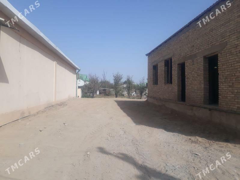 satlyk jay bagyr mirewe - Bagyr - img 1