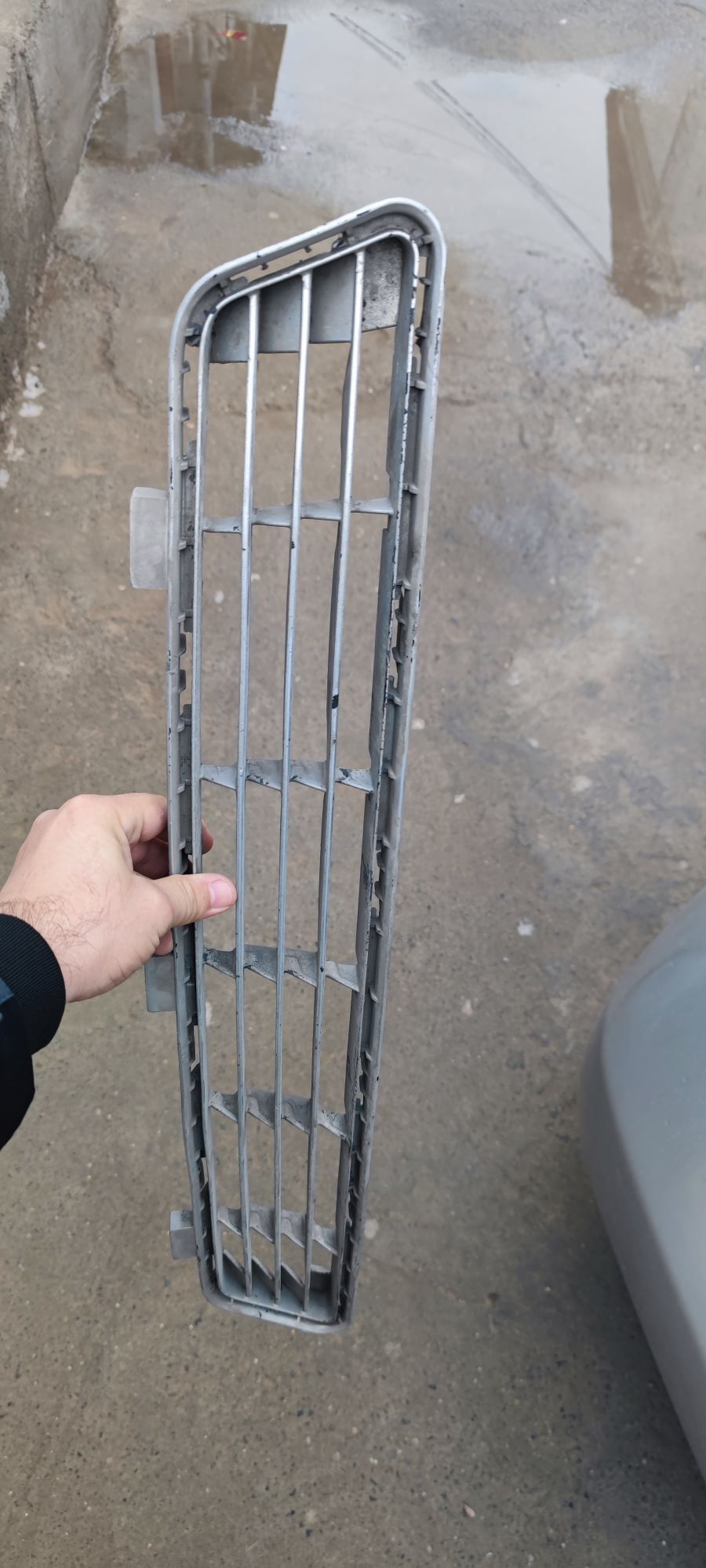 öküz kelle abilsowka 50 TMT - Ашхабад - img 1