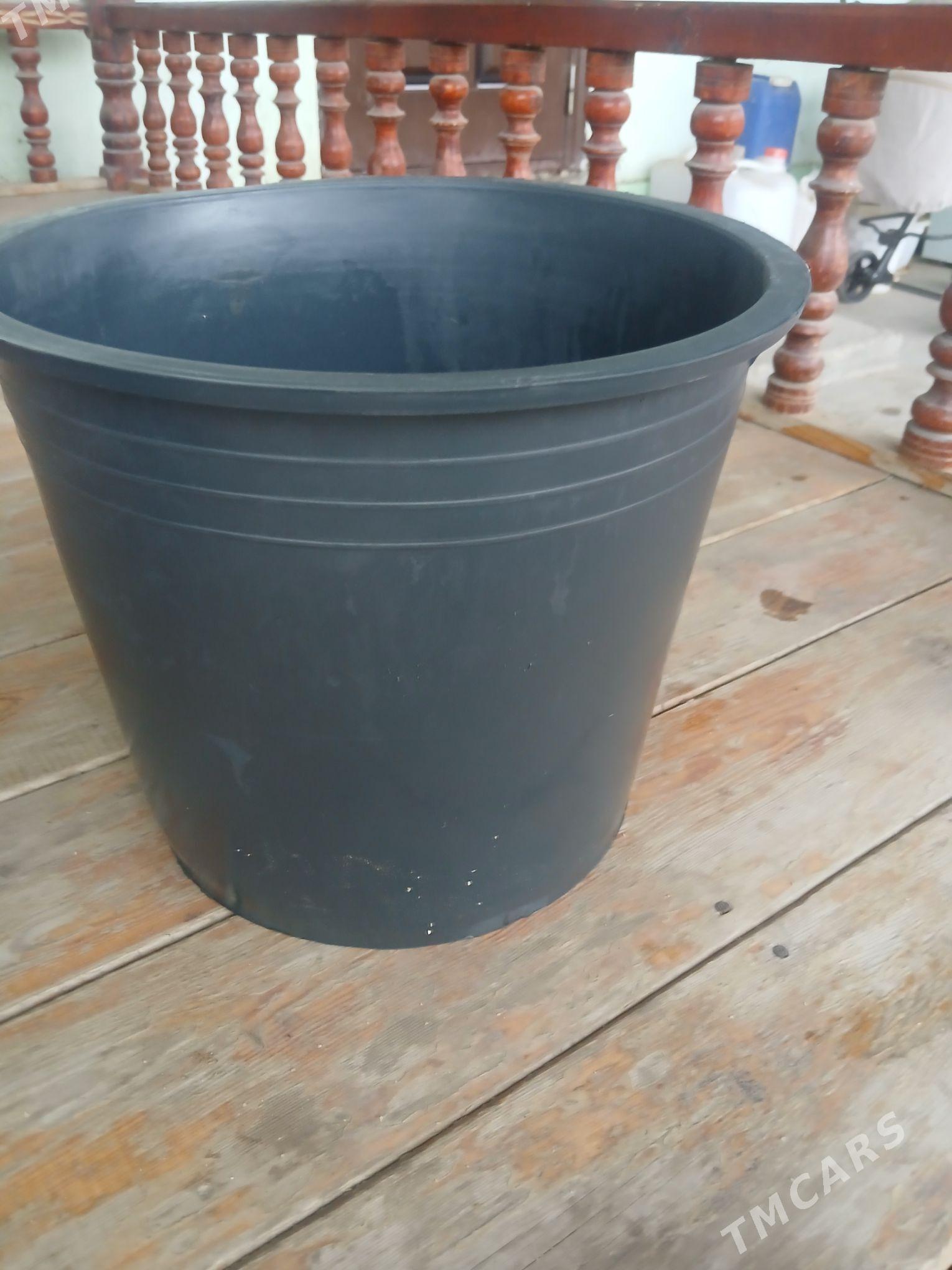 Gorsok - Анев - img 1