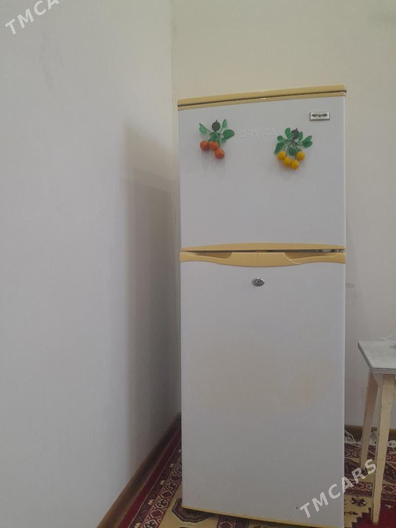 Haladelnik orvika - Daşoguz - img 1