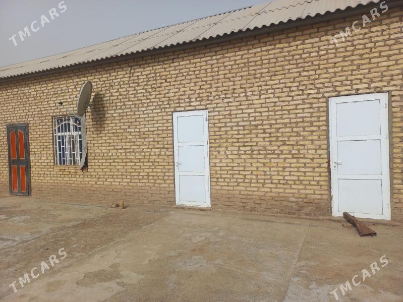 Satlyk jaỳ - Теджен - img 1