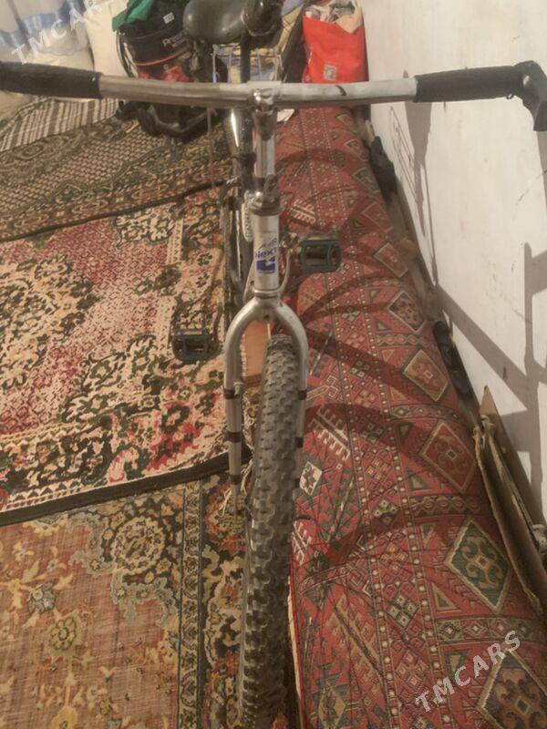 welik - Дашогуз - img 1