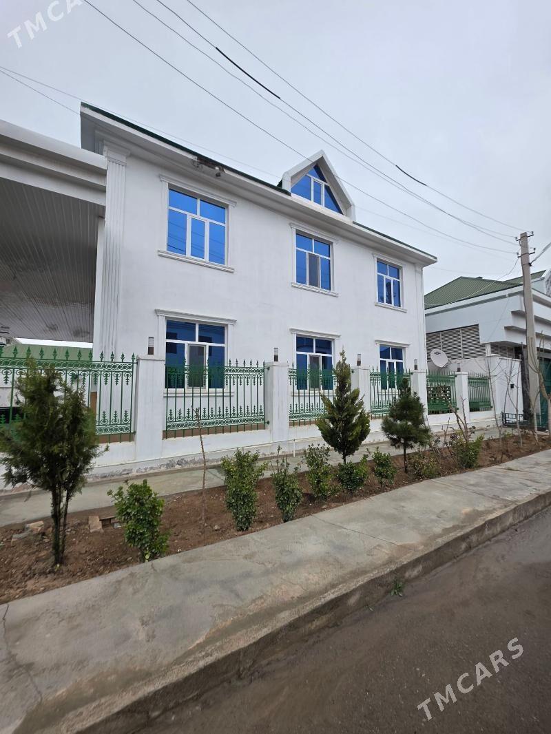 Anew katez - Änew - img 1