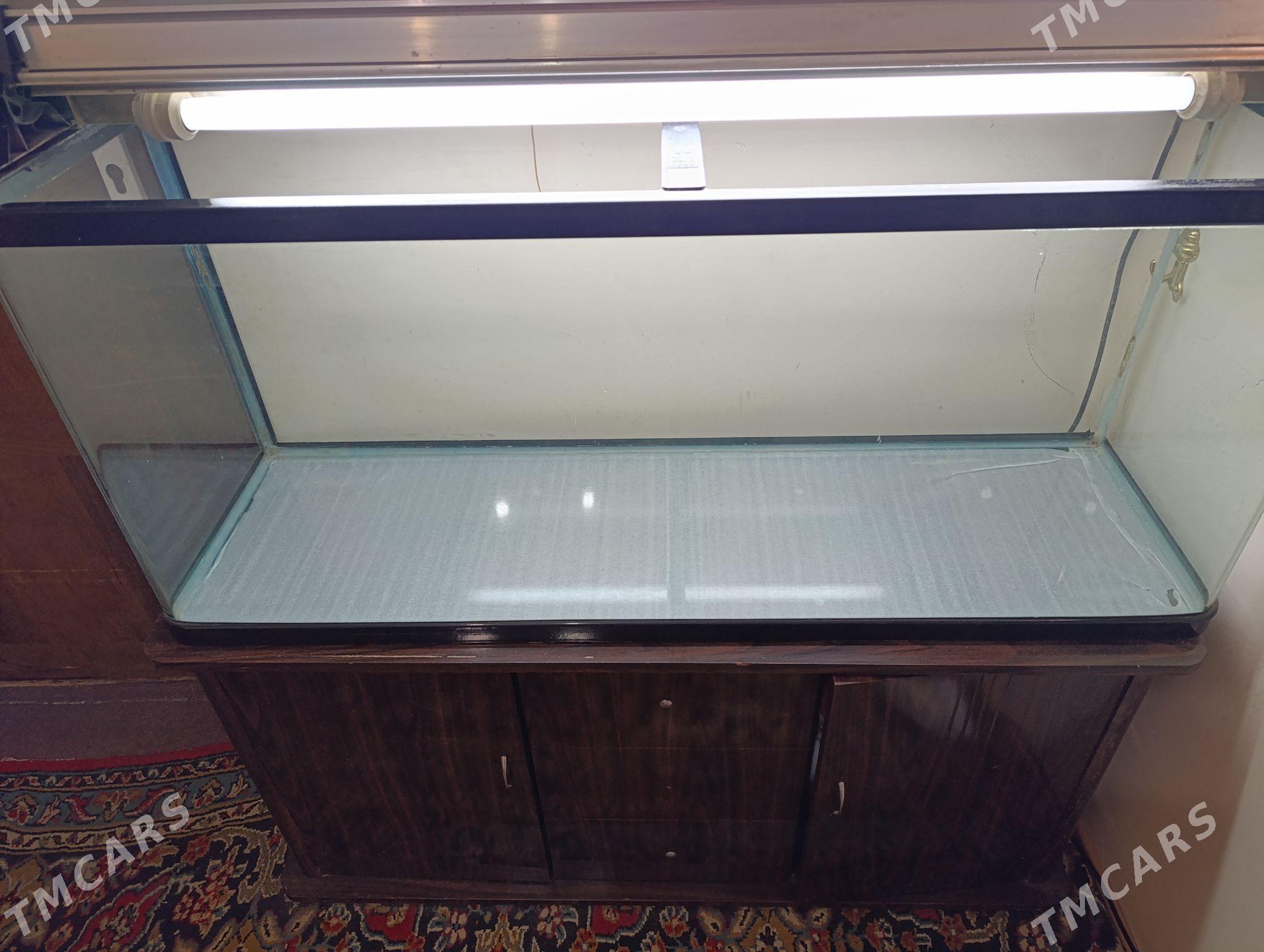 аквариум 250 литров - Aşgabat - img 1