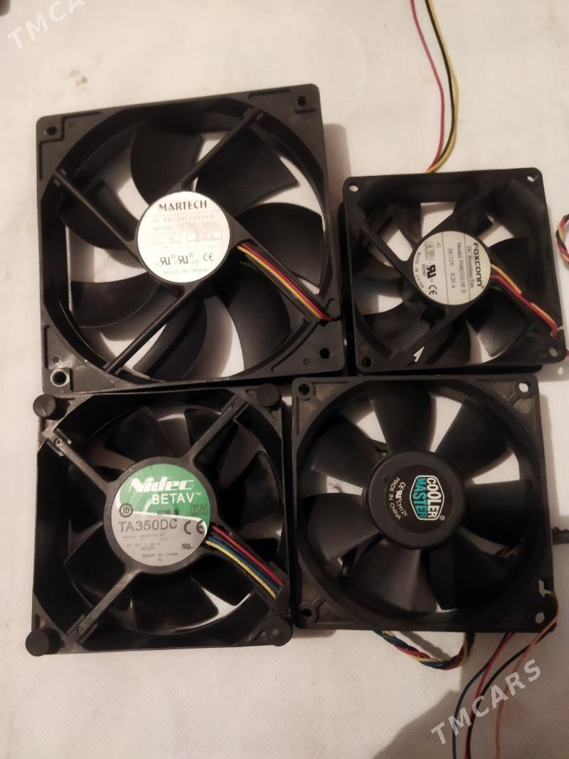 Cooler 8-10-12 sowadyjy - Ашхабад - img 1