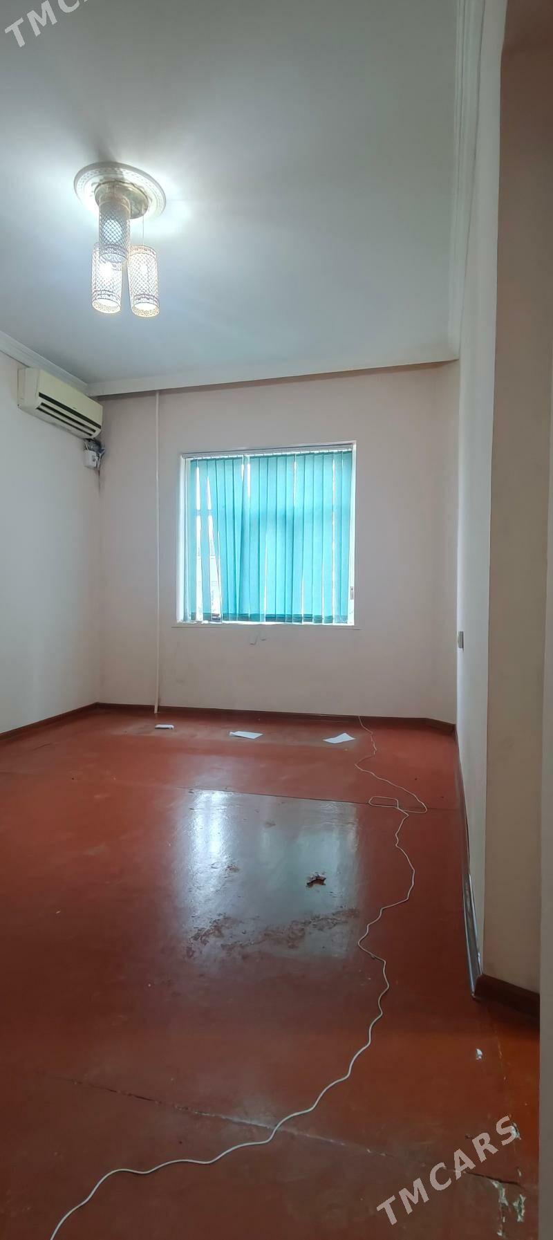 30 микр от хозяина - Aşgabat - img 1