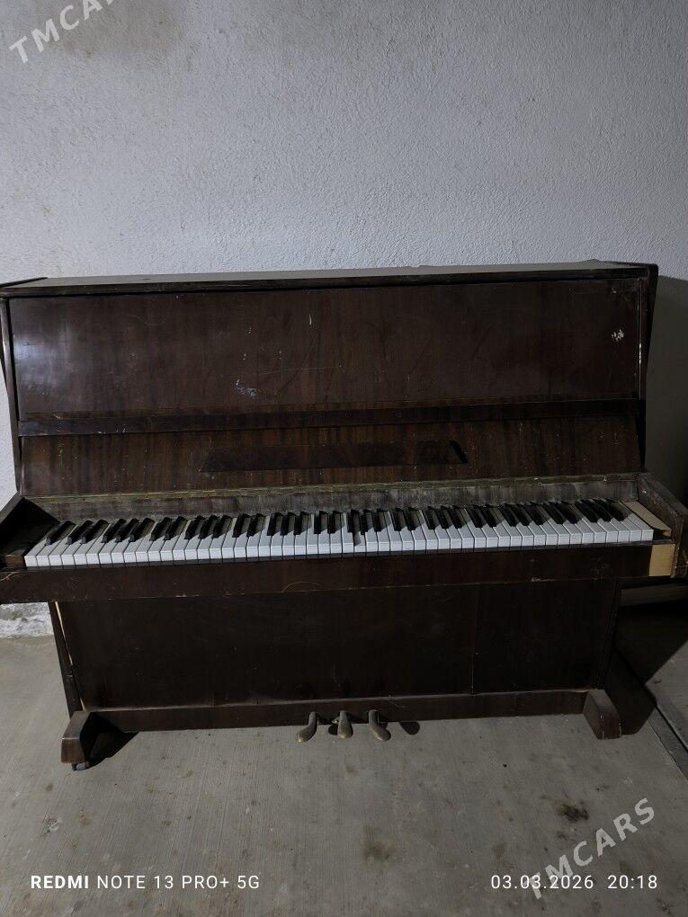 ritim blok piano - Гёкдепе - img 1