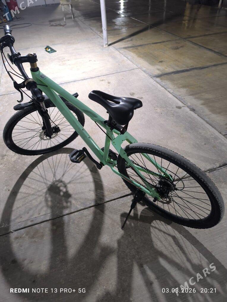 Tigir - Gökdepe - img 1