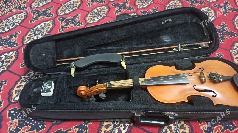 Skripka 4/4 - Дашогуз - img 1