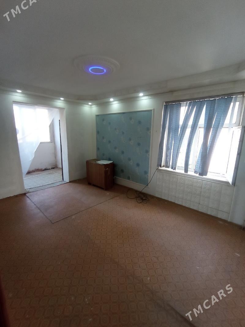 Satlyk jay - Mary - img 1