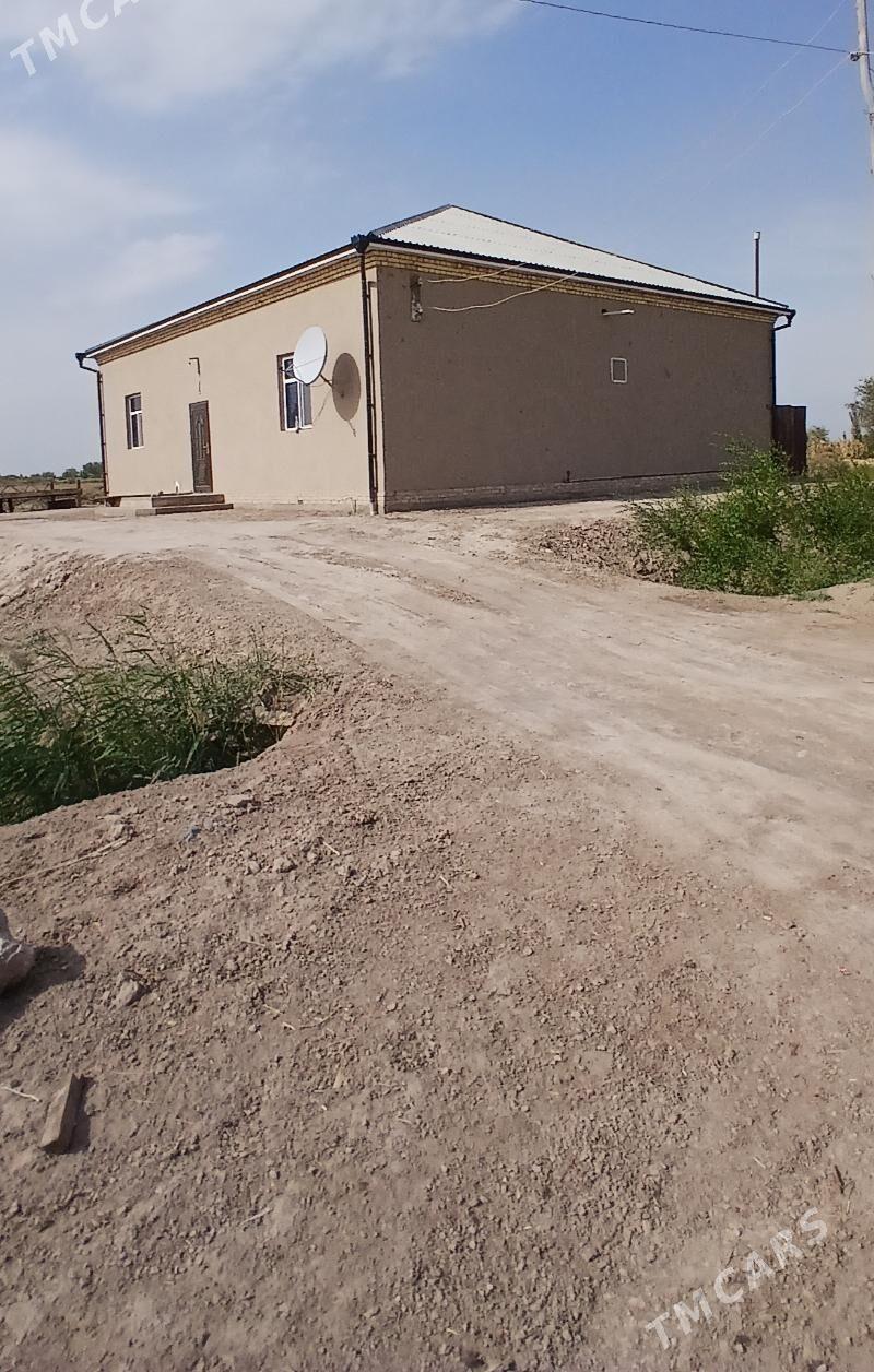 Pylan jaý - Gurbansoltan Eje - img 1