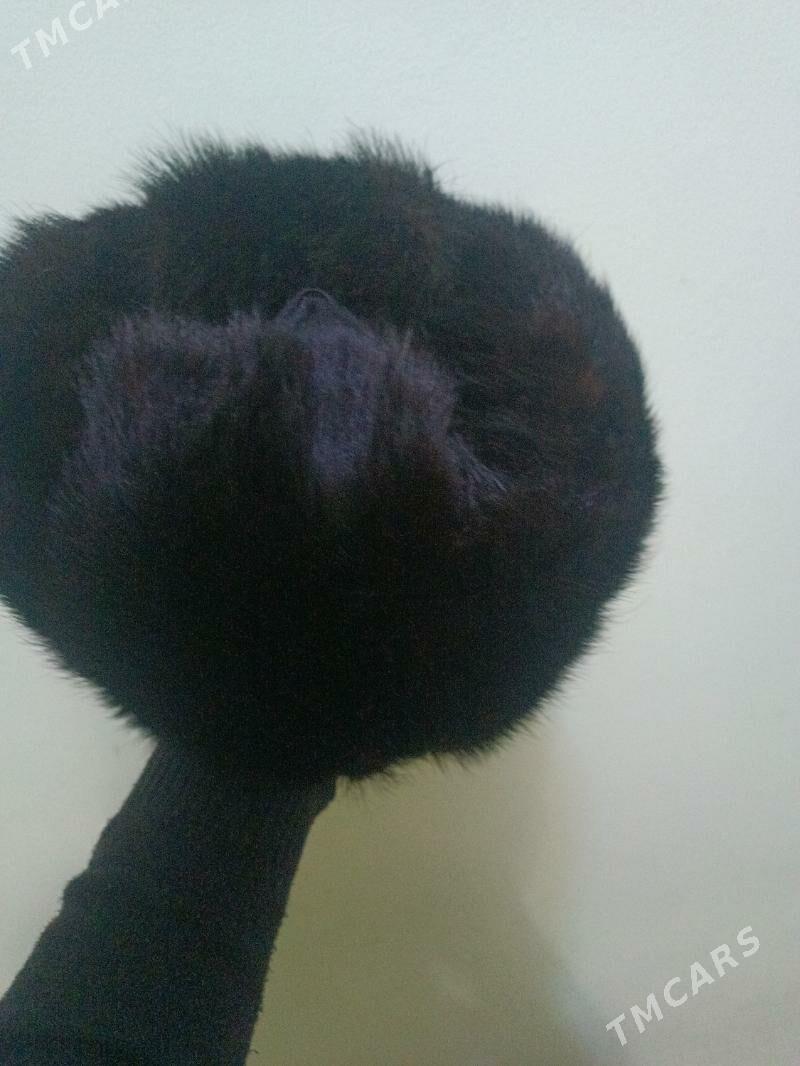 норка - Ашхабад - img 1