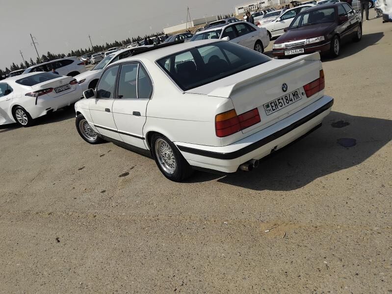 banan 300 TMT - Mary - img 1