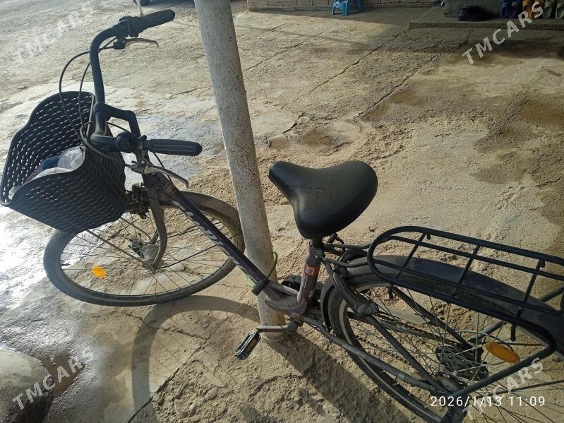 tigir - Mary - img 1