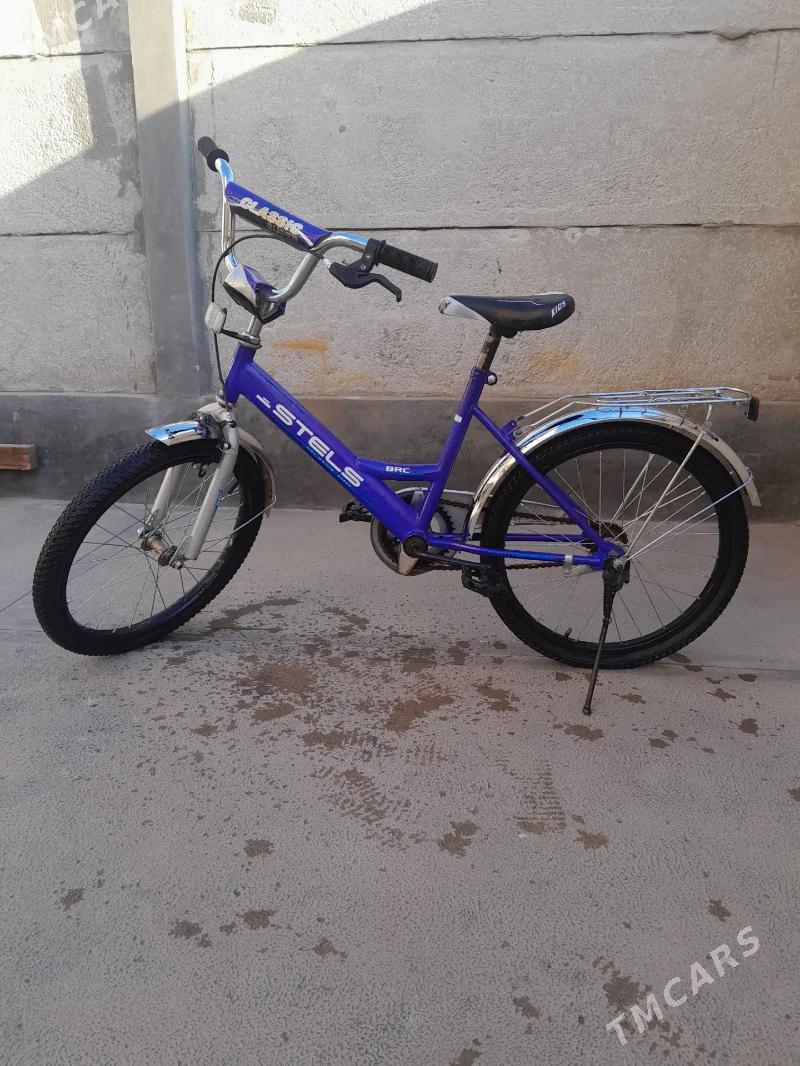 welsopet - Mary - img 1