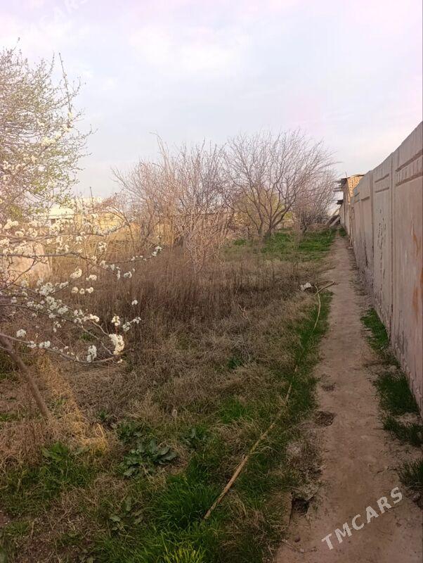 mellek yer yatak - Oguz han - img 1