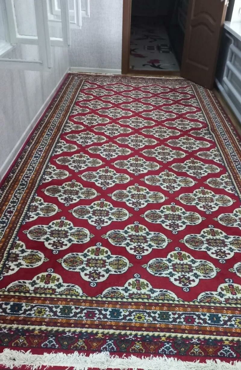 Haly - Türkmenabat - img 1