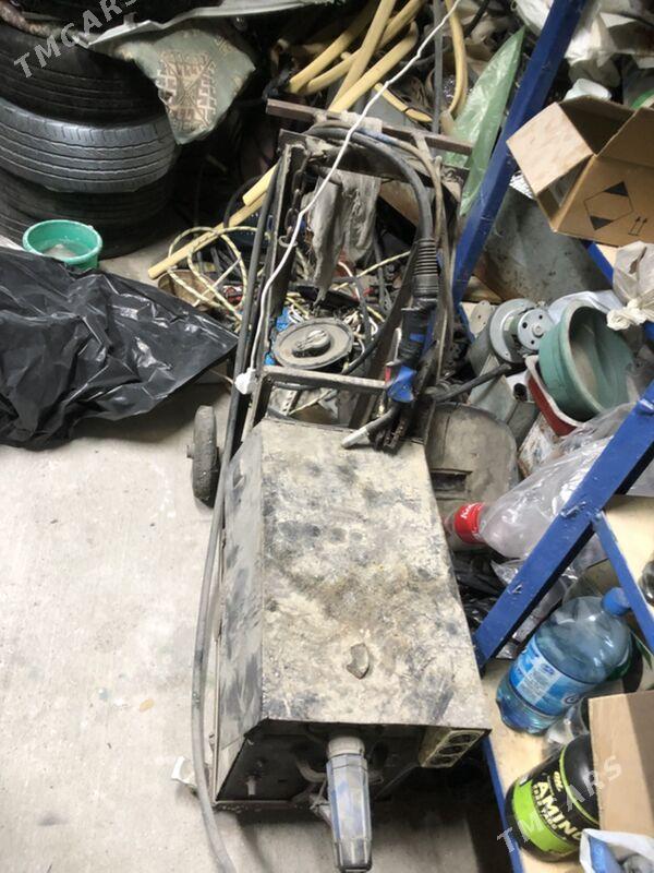 swarka kemp - Ашхабад - img 1